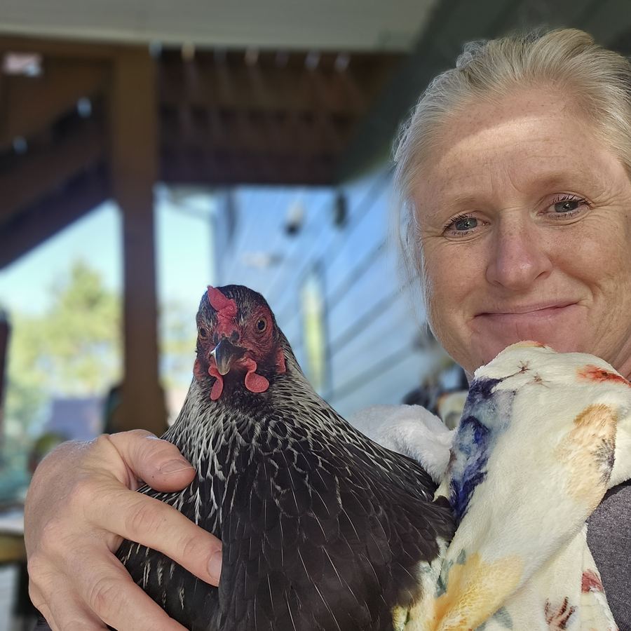 Angie Tovsen holding one of her hens